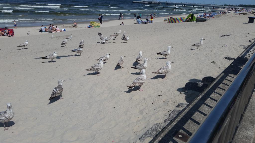 Leilighet Dworcowa Kołobrzeg